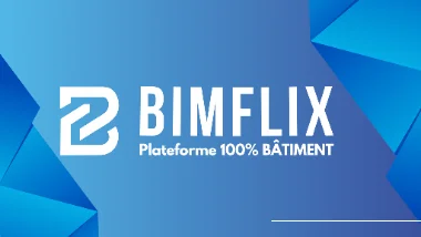 Logo de la chaîne BIMFLIX